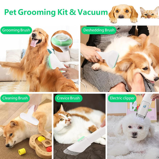 Pet Grooming Kit with 2L Vacuum Suction, Collects 99% Hair, Quiet w/attachments