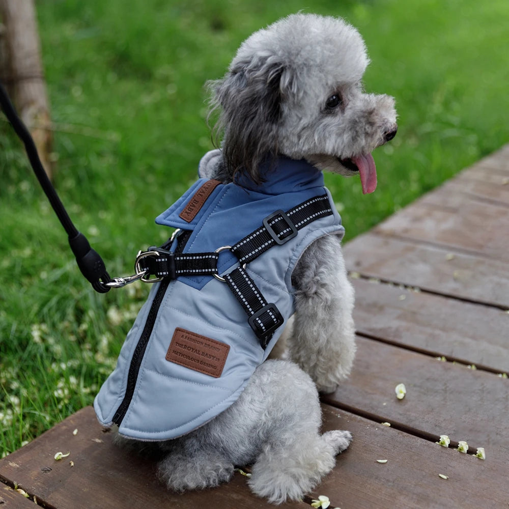 Winter Pet Zippered Fleece Jacket With Harness, Warm, Waterproof and Windproof