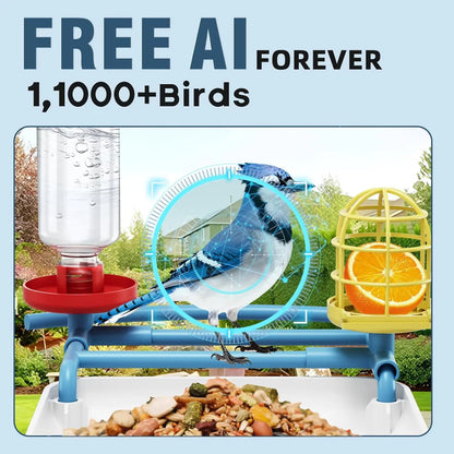 AI Bird Feeder includes Night Vision, Identifies 1100+ Birds, Live 2K HD View with 64GB Card & App Alerts
