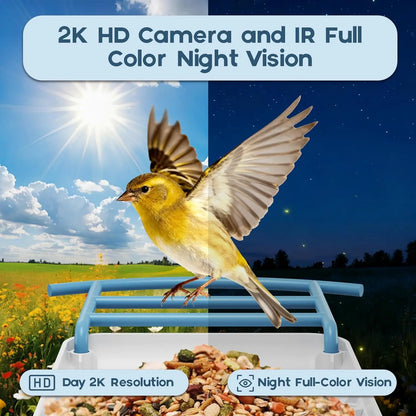 AI Bird Feeder includes Night Vision, Identifies 1100+ Birds, Live 2K HD View with 64GB Card & App Alerts