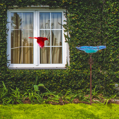 Large Outdoor Glass Bird Bath/Bird Feeder Bowl with stand