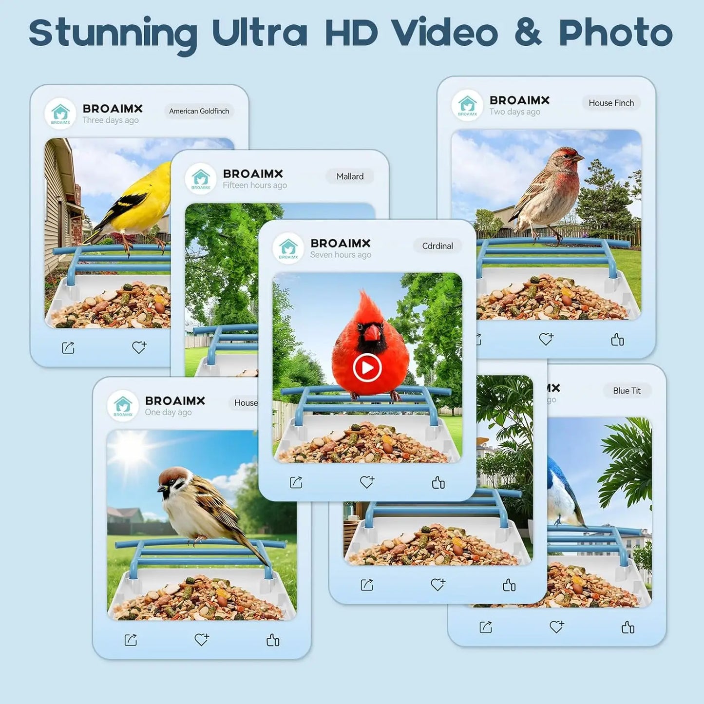 AI Bird Feeder includes Night Vision, Identifies 1100+ Birds, Live 2K HD View with 64GB Card & App Alerts