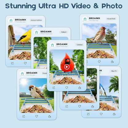 AI Bird Feeder includes Night Vision, Identifies 1100+ Birds, Live 2K HD View with 64GB Card & App Alerts