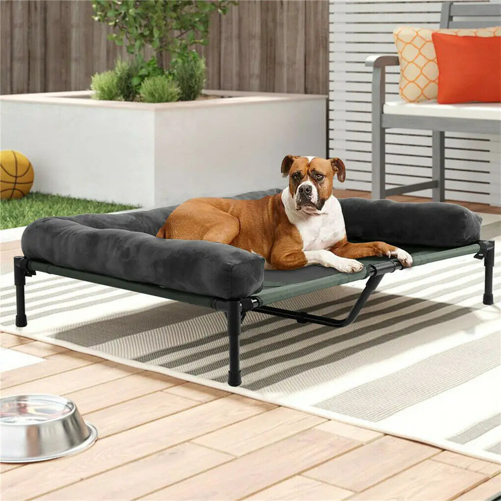 Indoor/Outdoor Elevated Pet Lounger with Detachable Plush Bolster