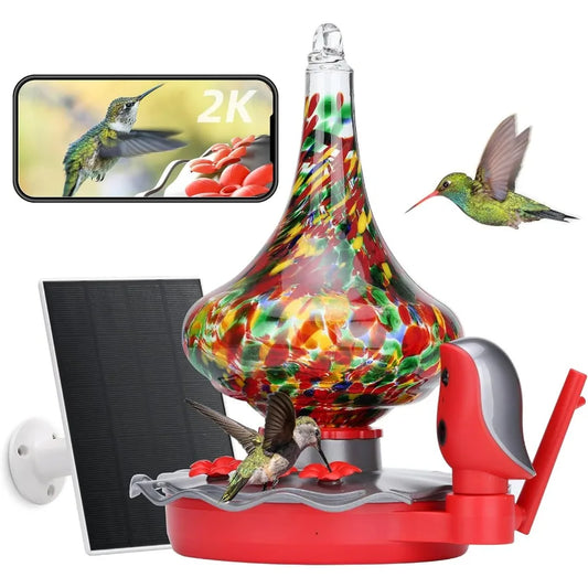 Glass Smart Hummingbird Feeder with Camera w/AI Identify, Water Detection, and Notifications