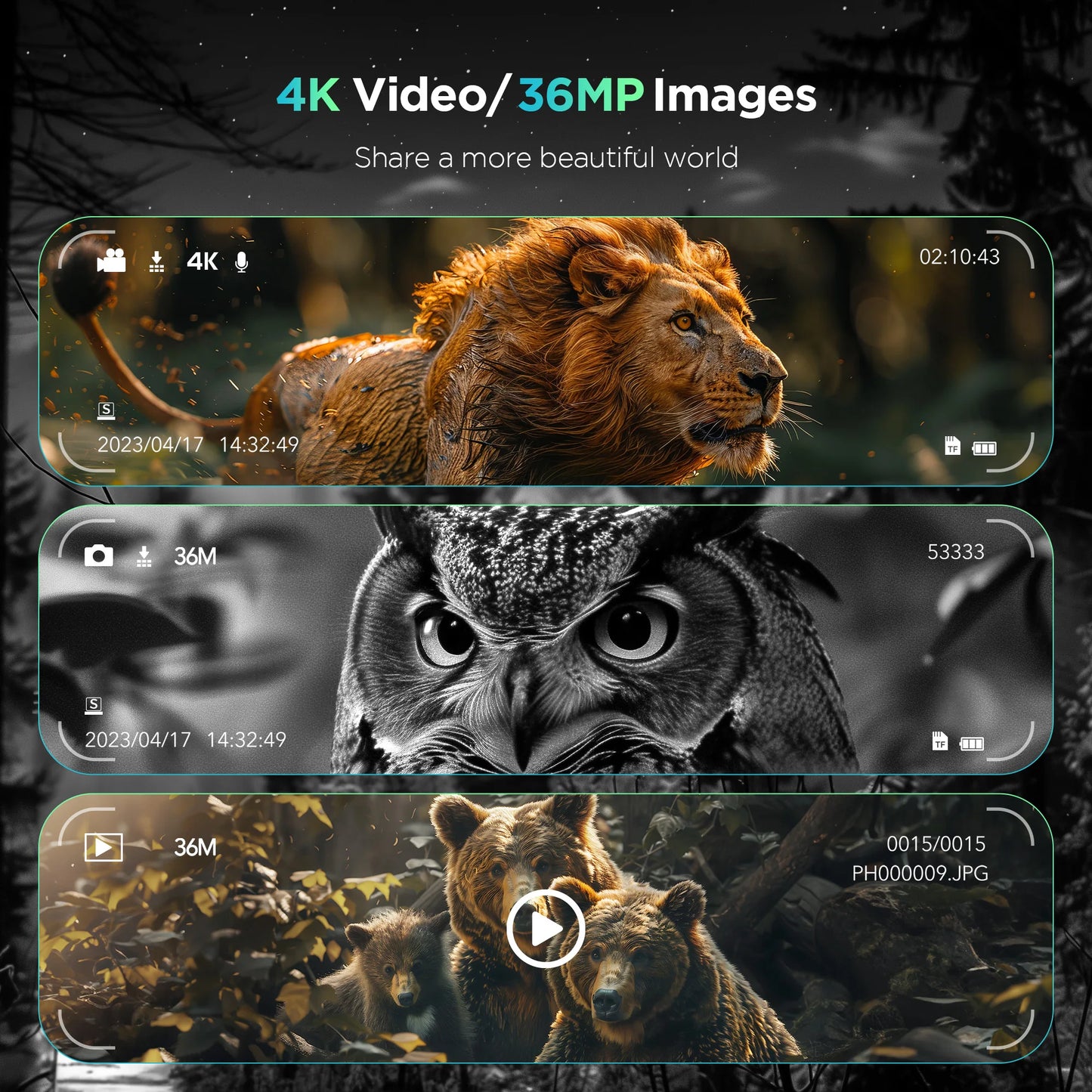 Night Vision Binoculars 8X Digital Zoom HD 1080P w/ IR Illuminator & Video Recording