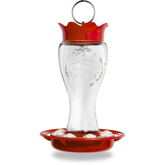 Glass Hummingbird Feeder - Bee Resistant with Ant Moat