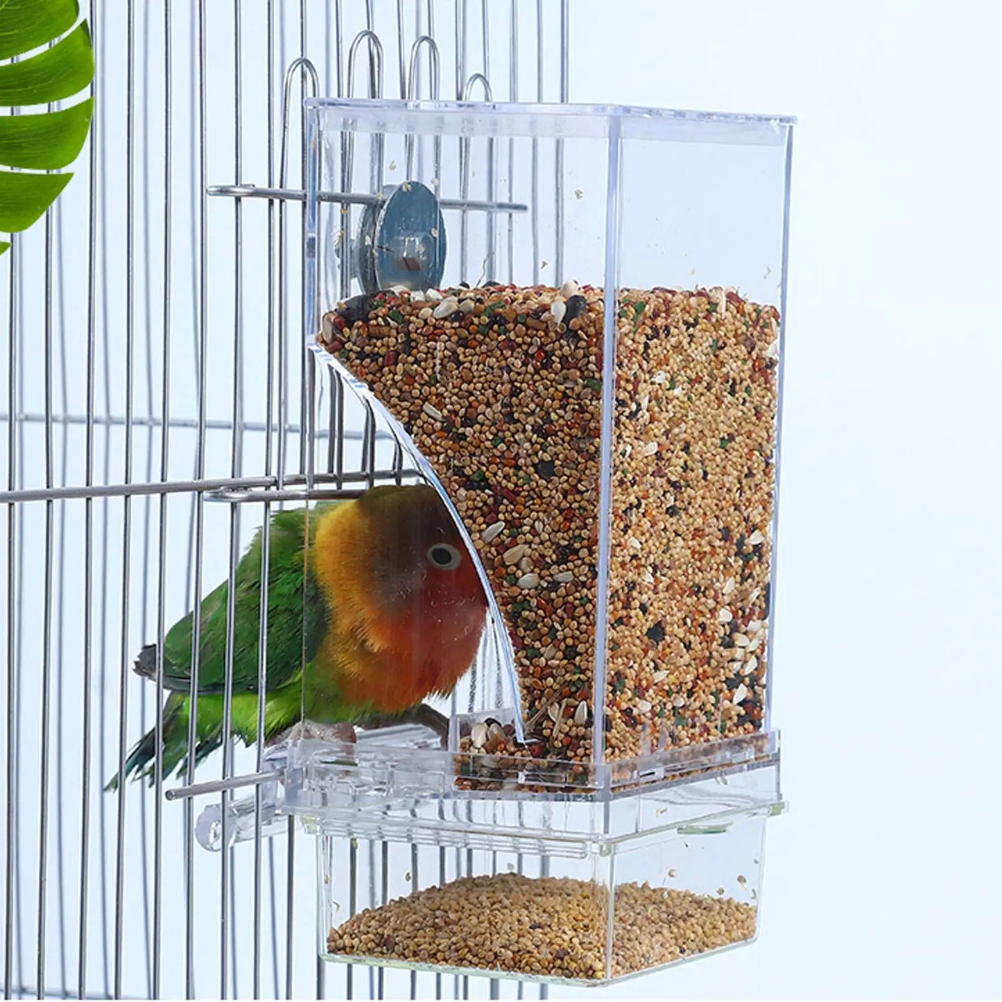No Mess Bird Feeder, Automatic Feeder Drinker Acrylic